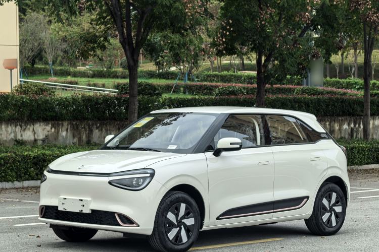 Used Dongfeng NAMMI 01 2025 330KM Youth Edition