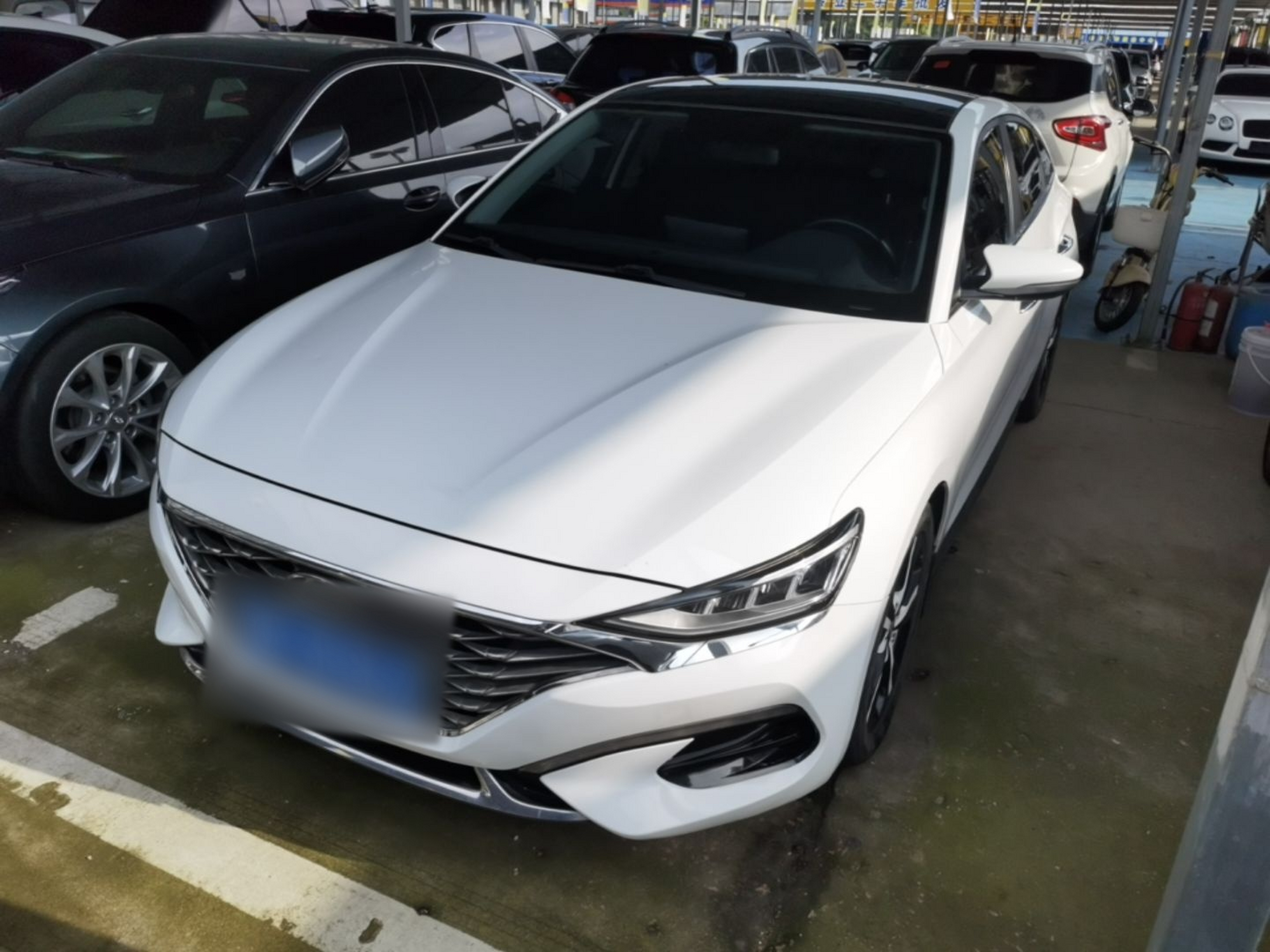 Under Front Bumper