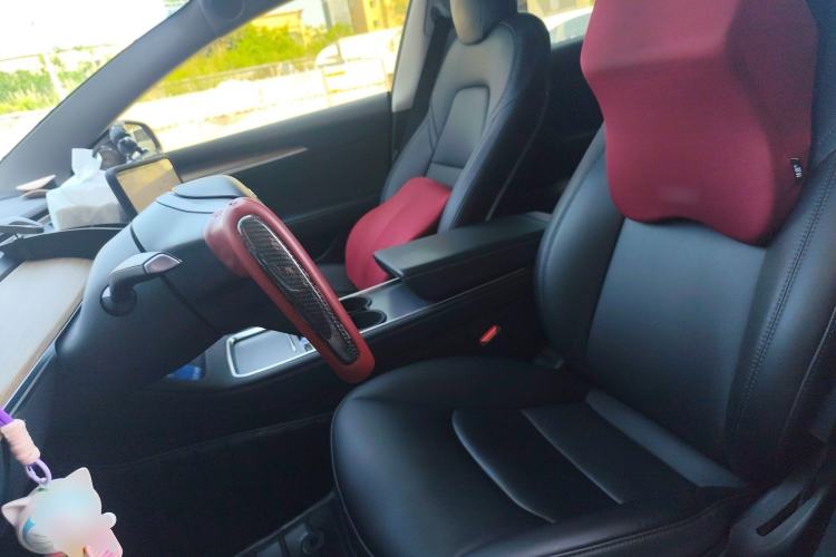 Used Tesla Model 3 2022 Rear-Wheel-Drive Version
