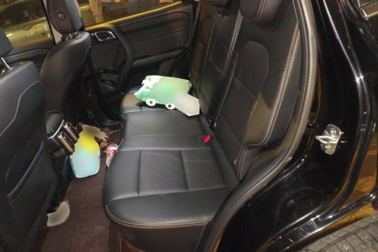 Used Haval DARGO 2024 2.0T DCT Chinese Rural Dog Edition
