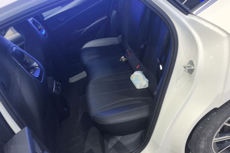 Used BYD Seal 06 New Energy 2024 DM-i 80KM Prestige Model Left Rear Seat