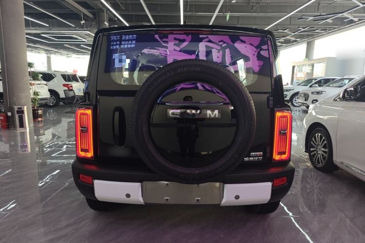 Used Haval Raptor New Energy 2026 Model Hi4 105 Pro
