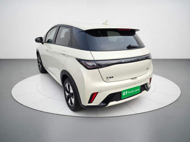Used BYD Dolphin 2025 420km Free Edition — 4