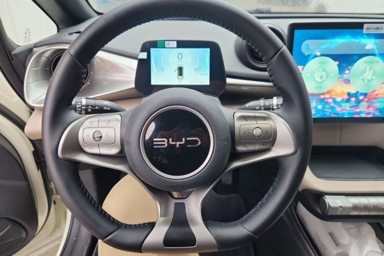 Used BYD Dolphin 2025 420km Free Edition