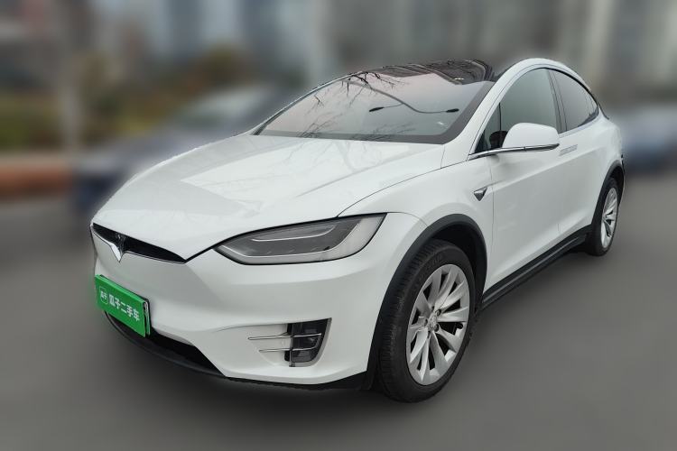 Used Tesla Model X 2017 X 100D Long Range Edition