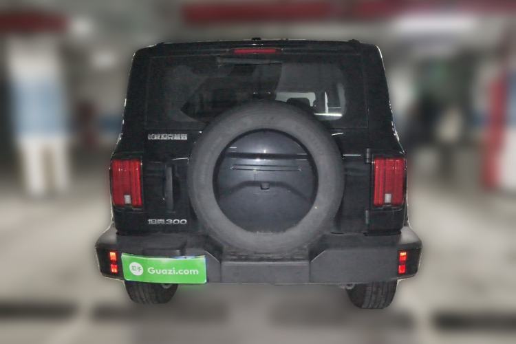 Used Tank 300 2024 2.0T Conqueror Rear