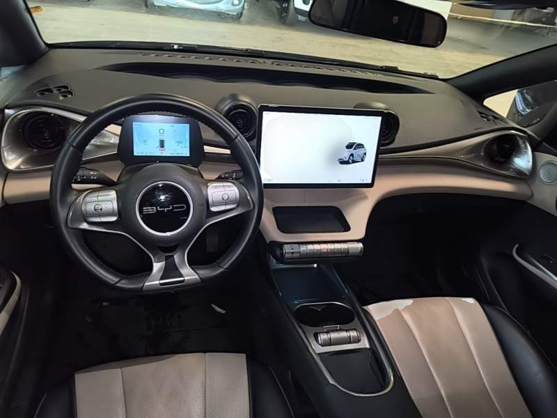 Used BYD Dolphin 2023 420 km Fashion Edition — 9