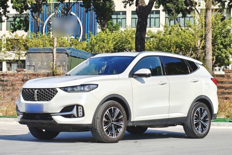 Used Wey VV6 2021 2.0T Two-Wheel Drive Smart Protection+