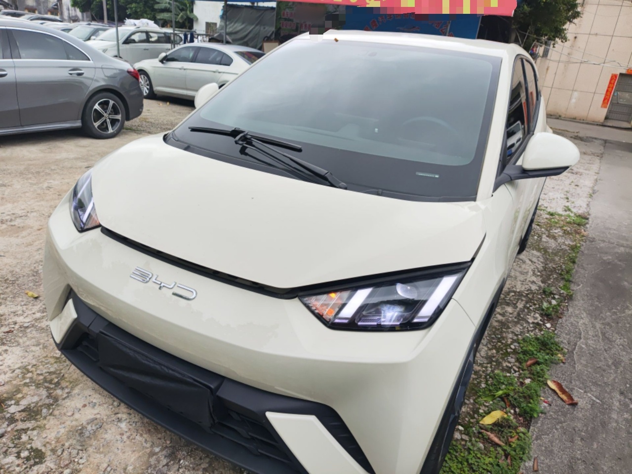 Parte inferior delantera