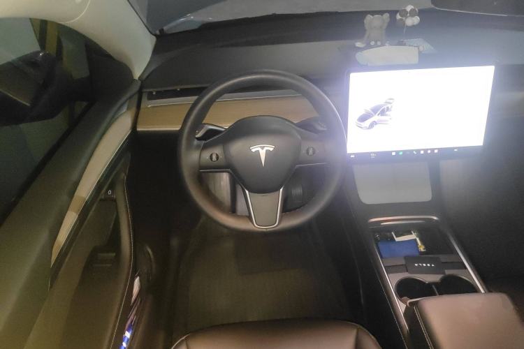 Used Tesla Model Y 2021 Standard Range Rear-Wheel Drive Version
