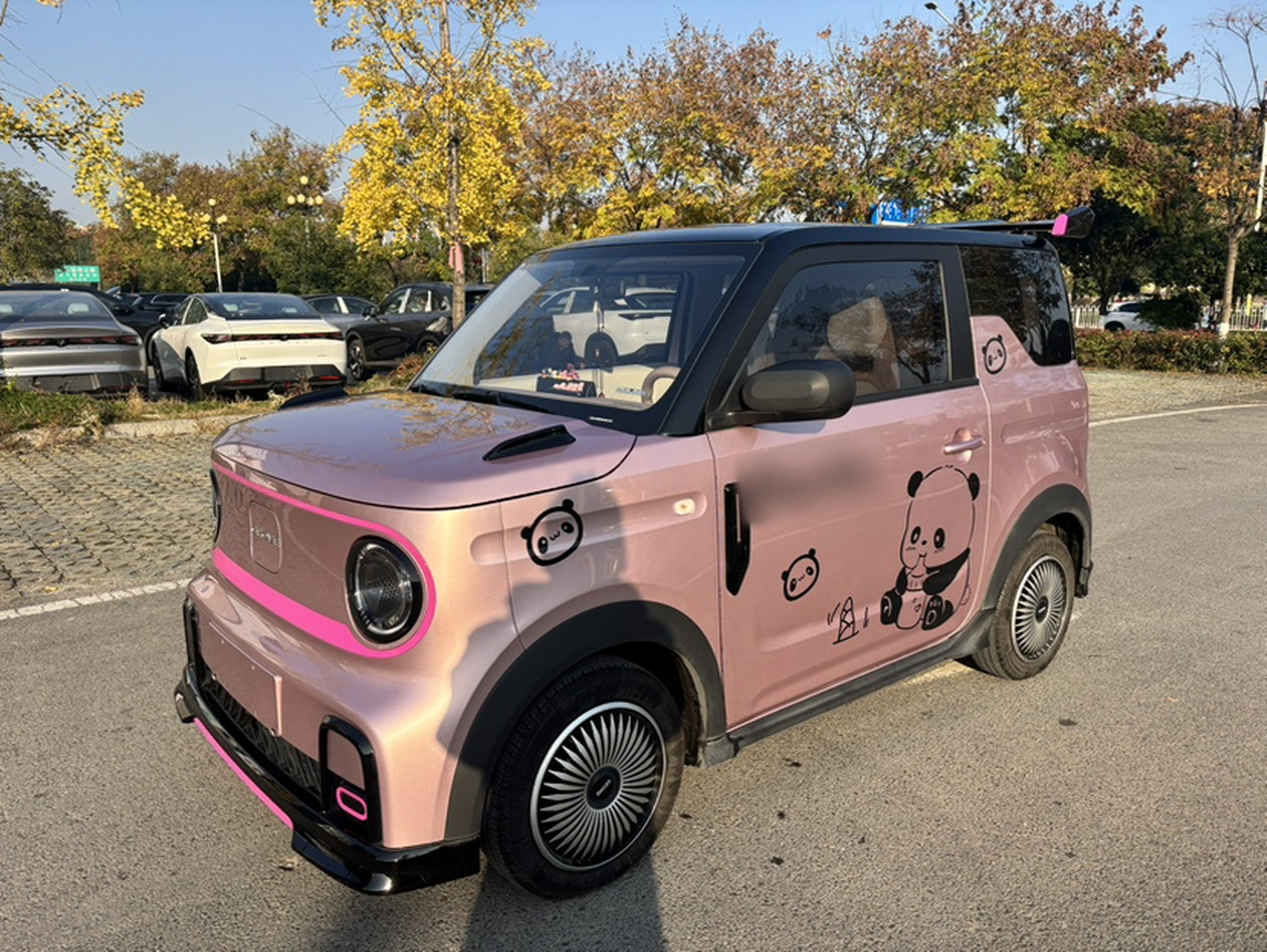 Под передней частью автомобиля