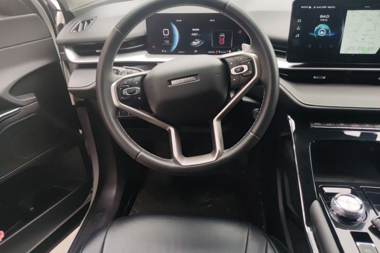 Used Haval H6 2021 3rd Generation 2.0T Automatic Two-Wheel Drive Max Steering Wheel