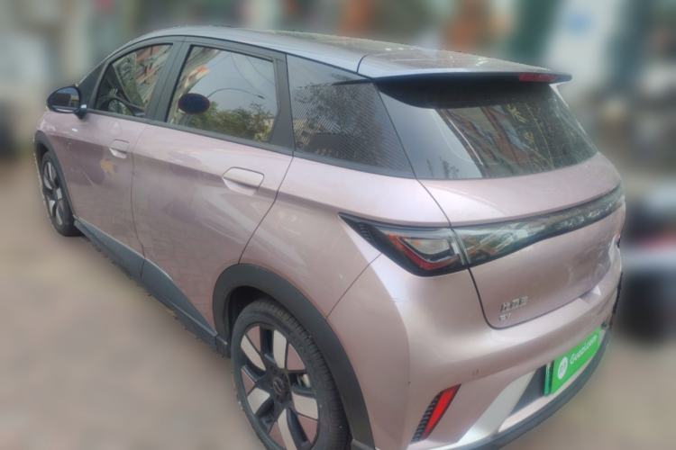 Used BYD Dolphin 2021 401km Knight Edition Rear Left 45 Deg