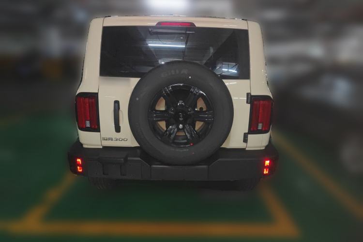 Used Tank 300 2025 2.0T Challenger
