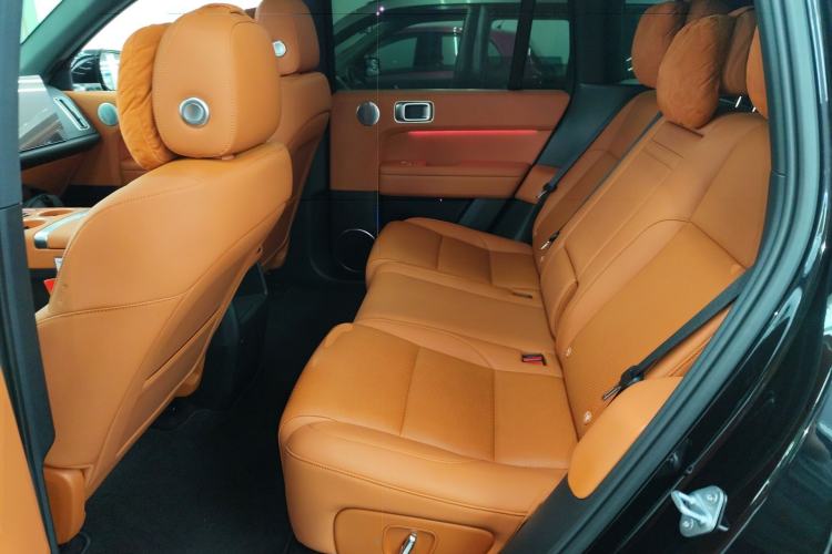 Used Li Auto L6 2024 Pro Model Left Rear Seat