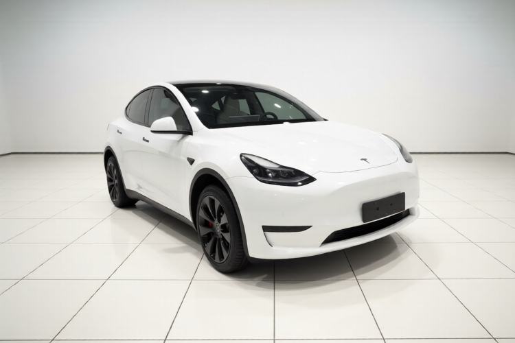 Used Tesla Model Y 2022 Revised Version Rear-Wheel Drive Exterior 1