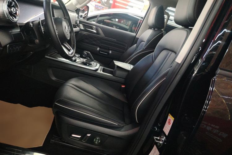 Used Tank 300 2023 Off-Road Edition 2.0T Conqueror Left Front Seat