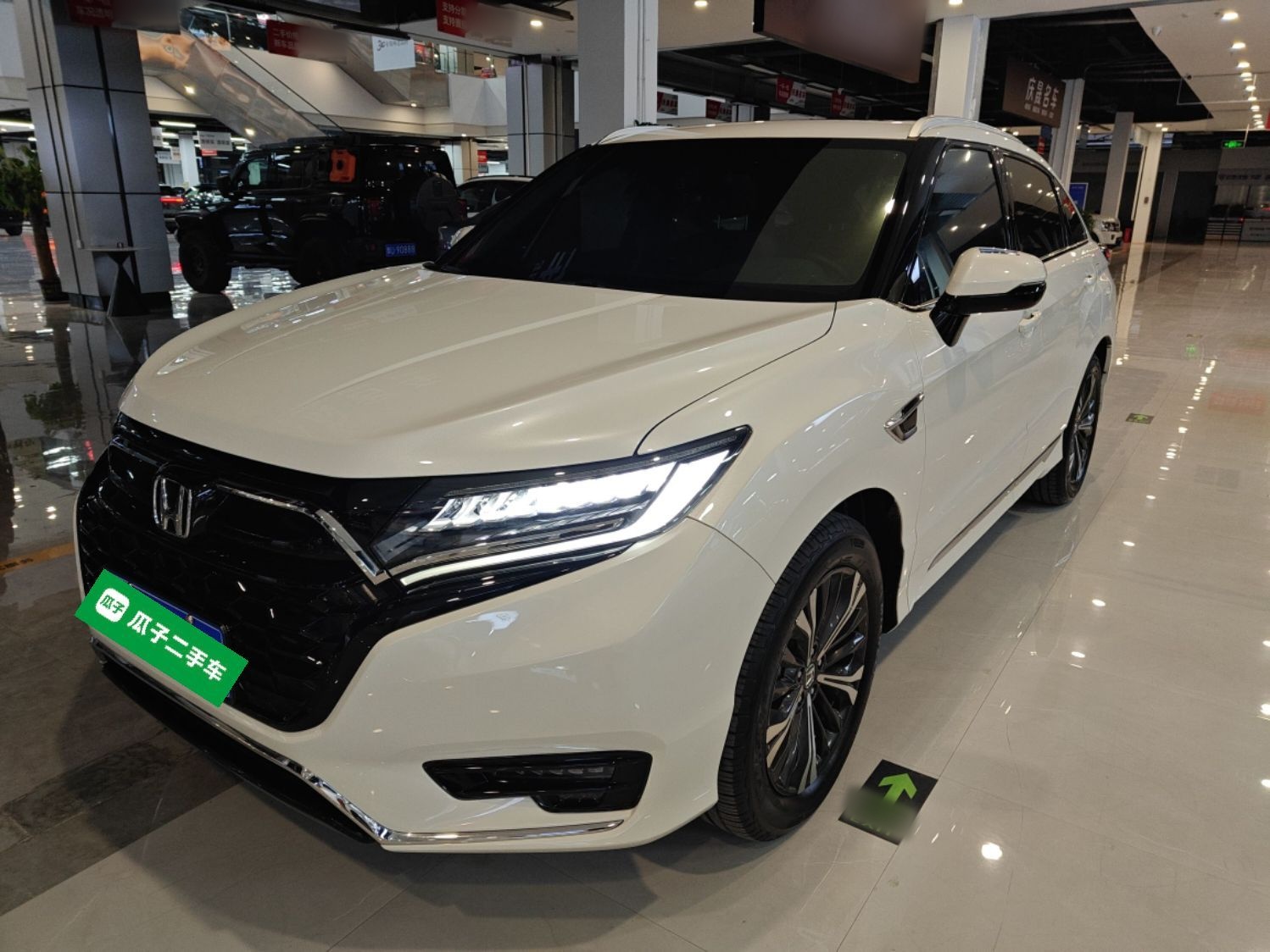 Parte inferior delantera