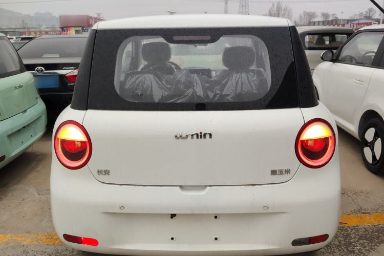 Used Qiyuan Lumin 2023 301km Honey Dew Edition
