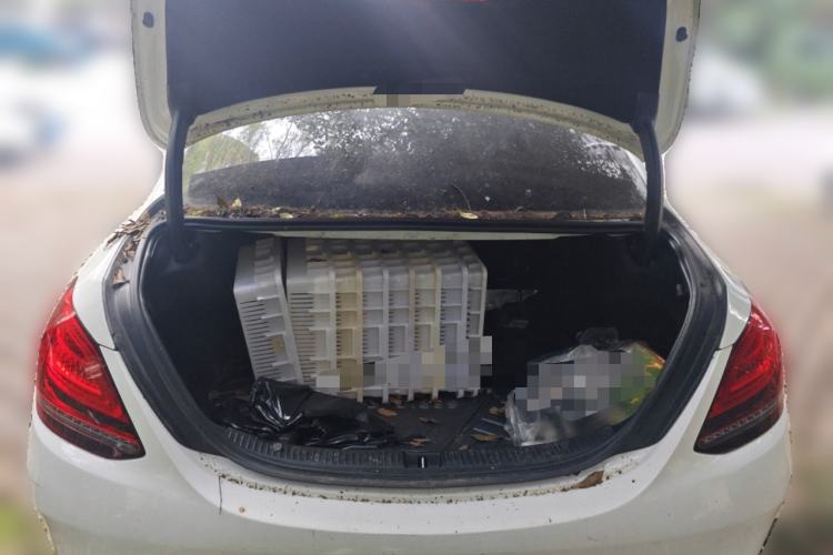 Used Mercedes-Benz C-Class 2019 C 180 L Fashion Edition Sport Version
