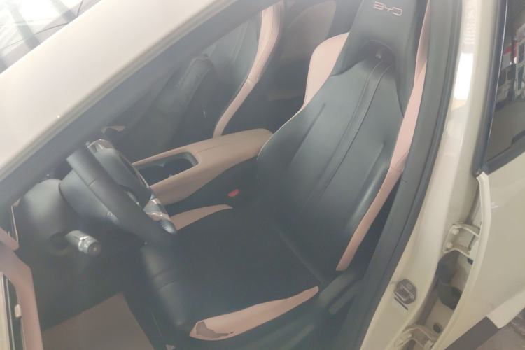 Used BYD Seagull 2023 Free Edition Left Front Seat