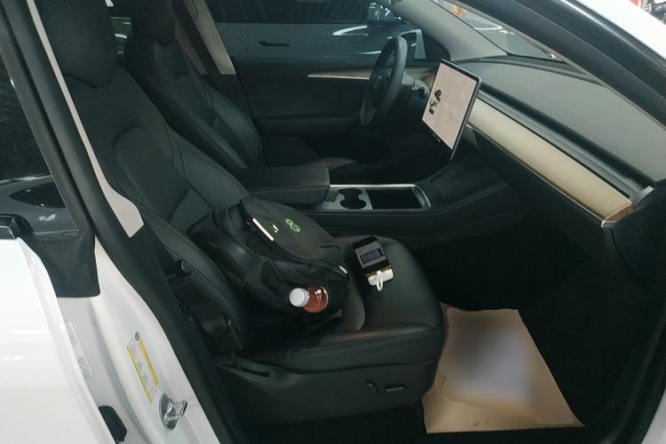 Used Tesla Model Y 2021 Standard Range Rear-Wheel Drive Version
