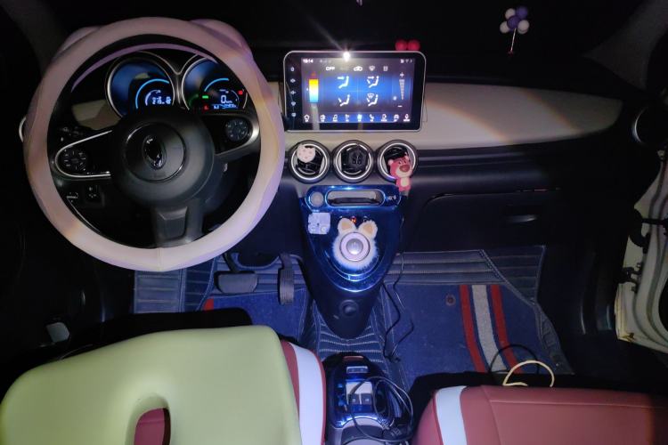 Used ORA Black Cat 2019 351 km Lingzhi Edition