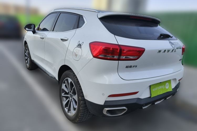 Used Haval F5 2019 National Trend Edition 1.5T i-Trend China V Standard Rear Left 45 Deg
