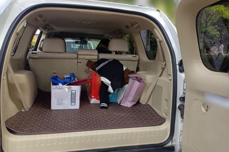 Used Toyota Prado  Trunk