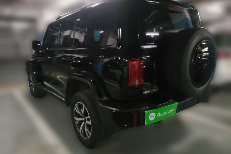 Used Tank 300 2024 2.0T Crosser
