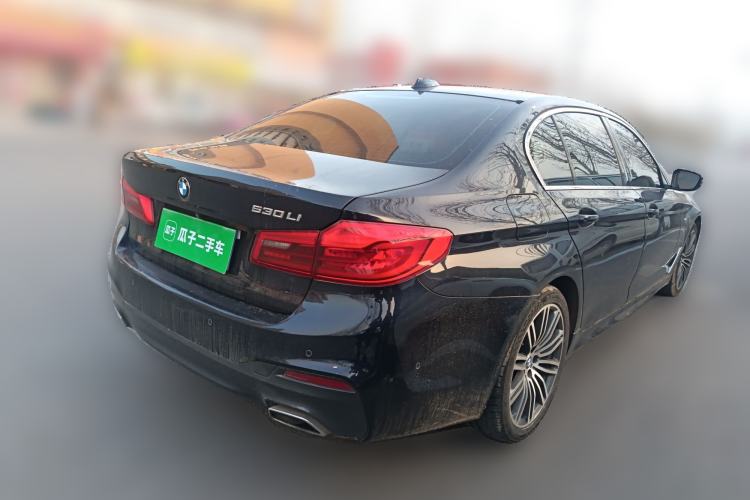 Used BMW 5 Series 2019 530Li Leading Model M Sport Package Rear Right 45 Deg