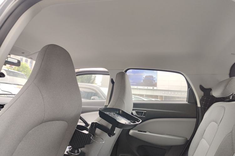 Used Leapmotor T03 2022 Crystal Edition Headliner