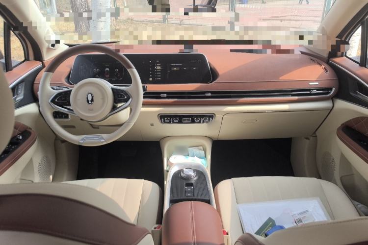 Used ORA Good Cat 2021 500km Long-Range Poseidon Edition Lithium-Ion Battery
