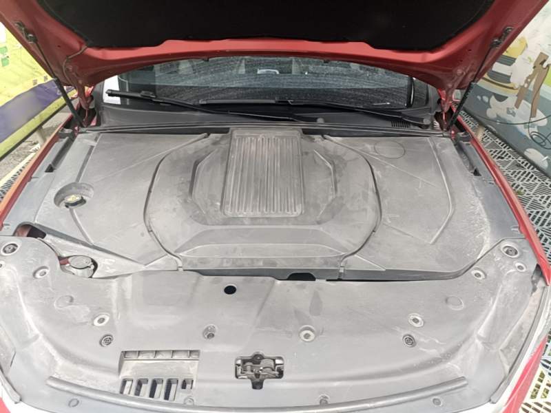 Used BYD Qin PLUS 2021 EV 400KM Luxury Model — 19