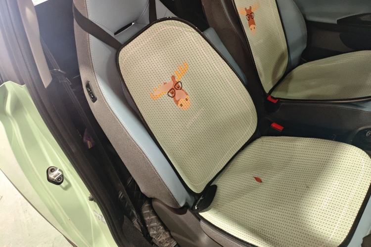 Used Chery QQ Little Ant 2022 Revised Version Sweet Pink Edition Half-Sugar Version Lithium Iron Phosphate 30.7 kWh 30 kW 301 km Right Front Seat