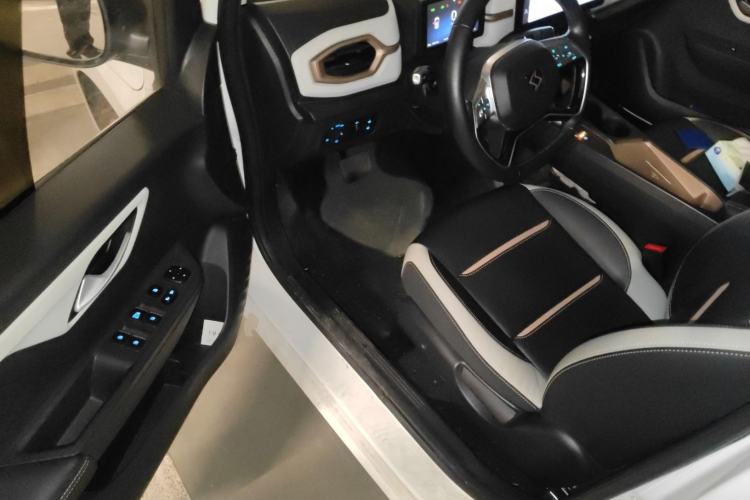 Used SOL E10X 2022 Flower Fairy Style Baby's Breath
