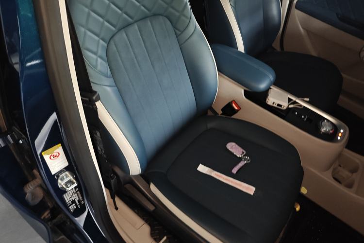 Used ORA Good Cat 2021 400km Standard Range Athena Edition Lithium-Ion Battery