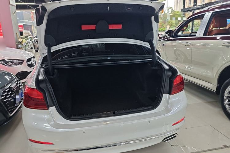 Used BMW 5 Series 2020 530Li Leading Edition Luxury Package