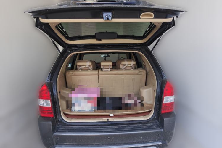 Used Hyundai Tucson 2009 2.0L Automatic Two-Wheel Drive with Sunroof