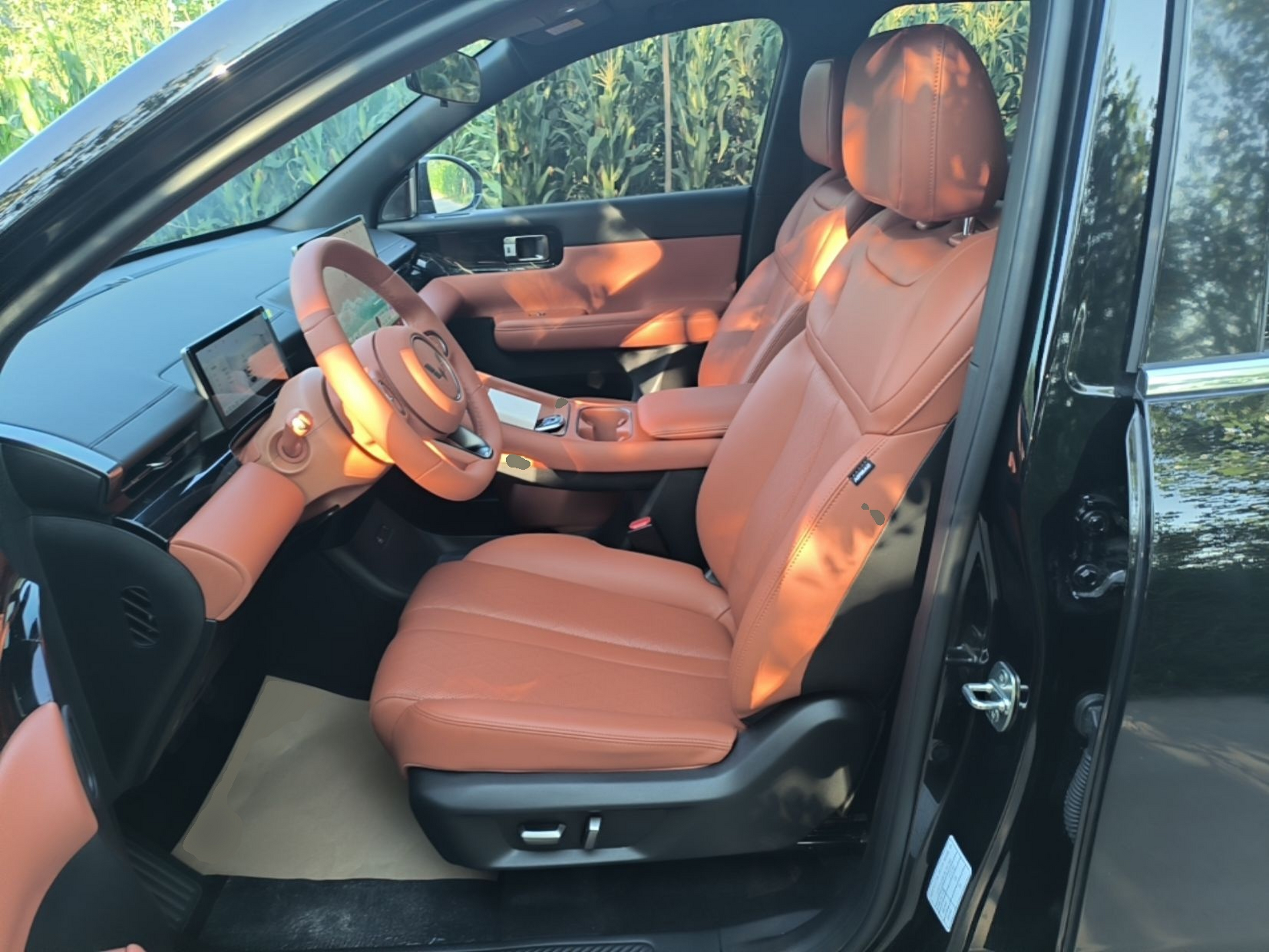 Interior delantero