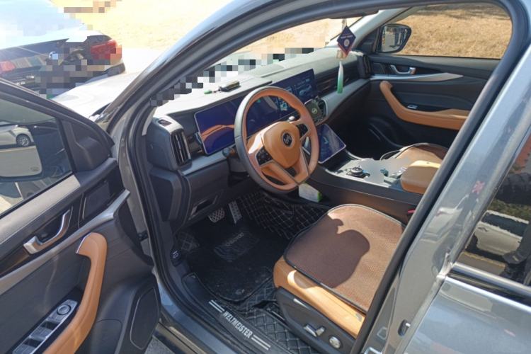 Used WM Motor W6 2021 520km ACE Advanced Intelligence Edition
