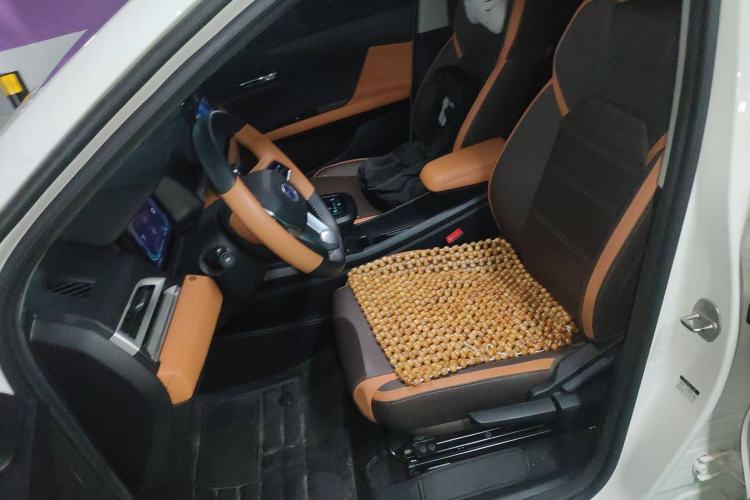 Used BYD e2 2021 Luxury Model