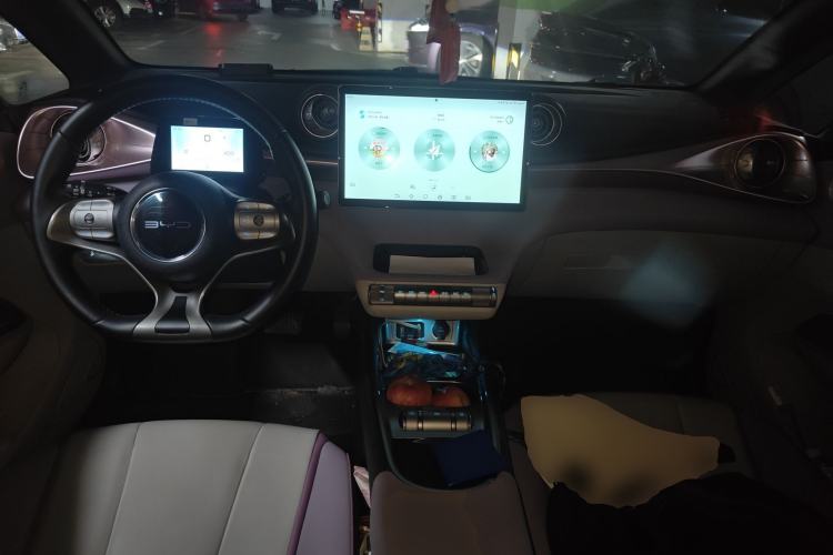 Used BYD Dolphin 2021 405 km Fashion Edition Center Console