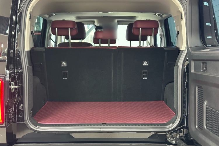 Used Tank 300 2025 2.4T Diesel Version
