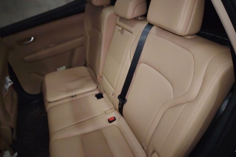 Used Landian E5 PLUS 2025 165 km Long-Range Version 7 Seats