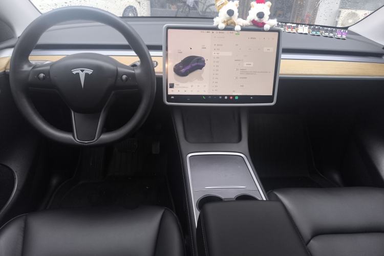 Used Tesla Model Y 2022 Rear-Wheel-Drive Version