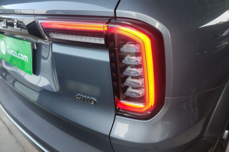 Used Haval DARGO 2021 2.0T DCT 4x4 Chinese Rural Dog Edition