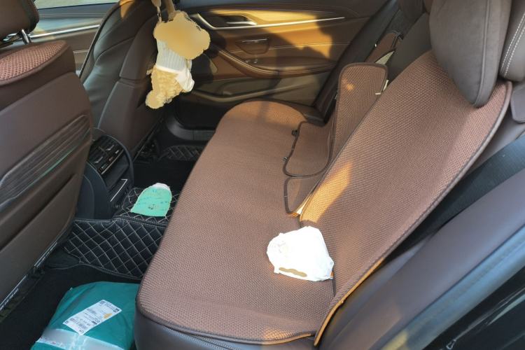 Used BMW 5 Series New Energy 2020 Mileage Upgrade Version 530Le Pioneer Edition