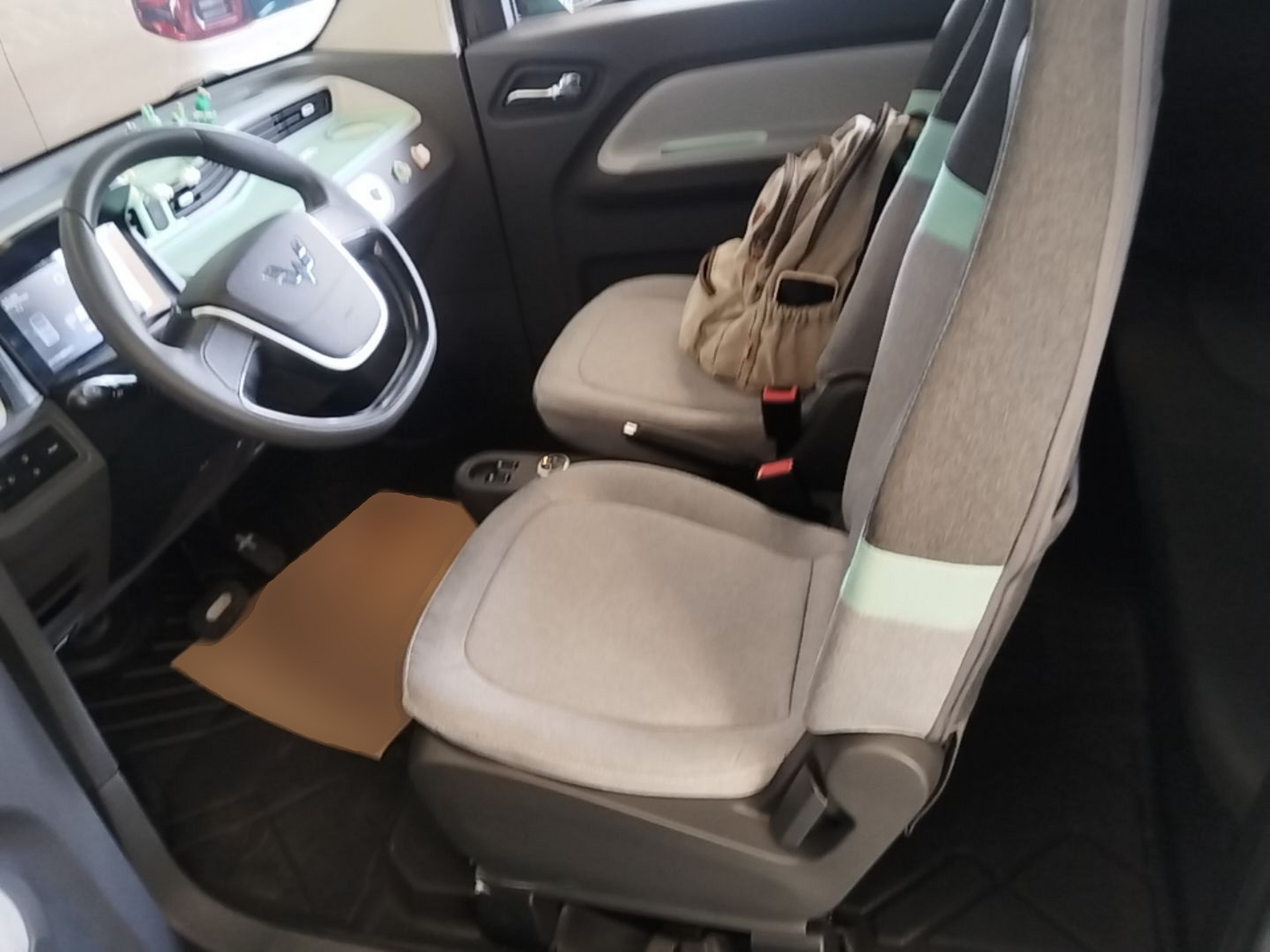 Interior delantero