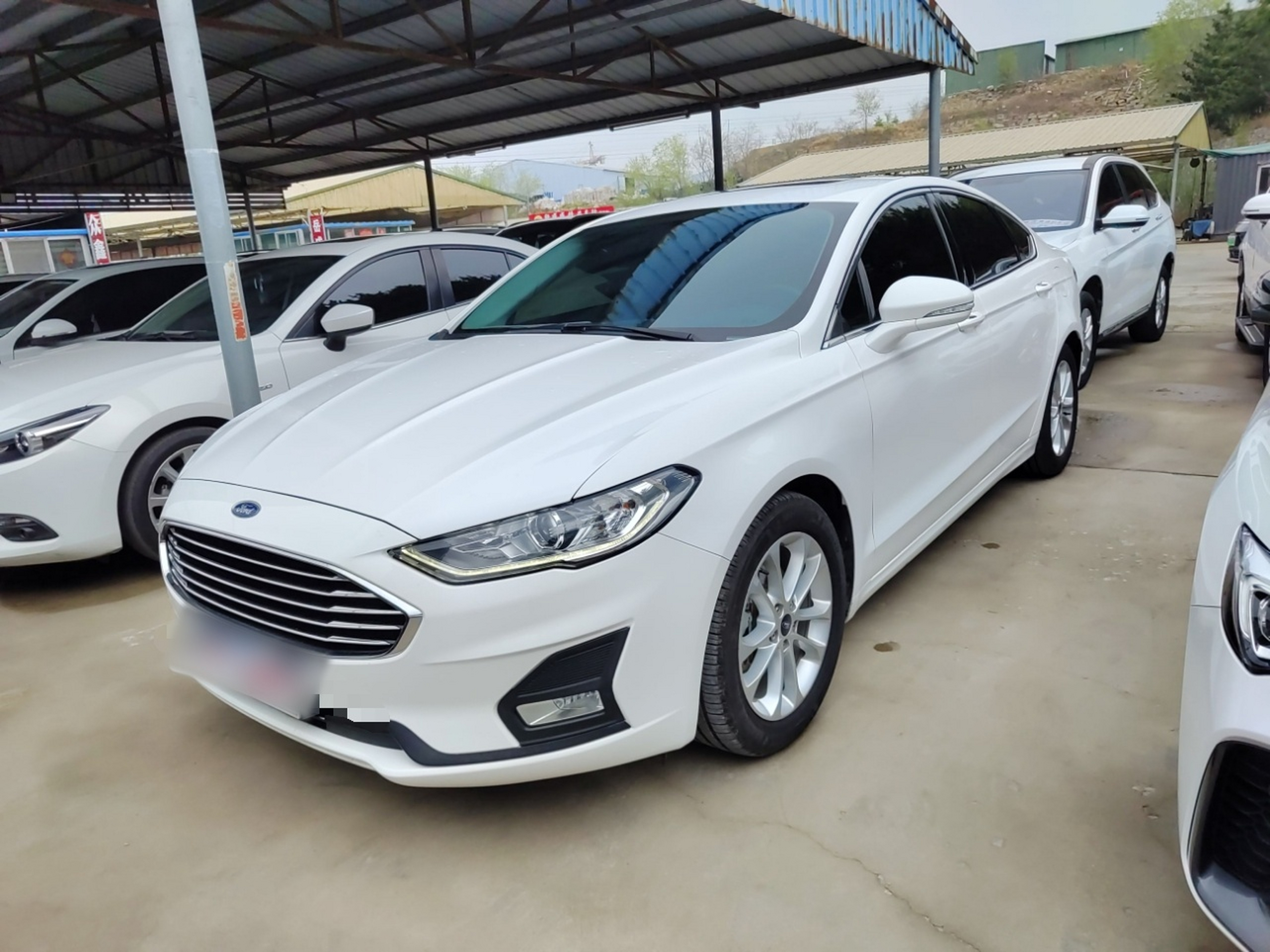 Parte inferior delantera